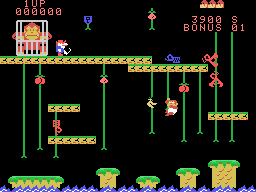 Donkey Kong Junior (FR) Preview