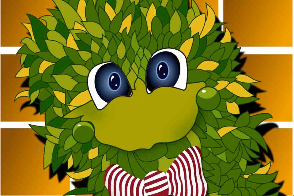 Promotional Material